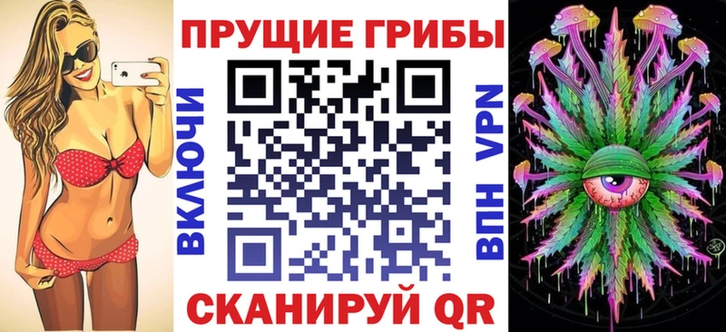 Галлюциногенные грибы MAGIC MUSHROOMS  купить наркотики сайты  Навашино 